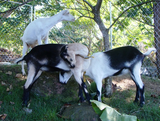 Group Photo