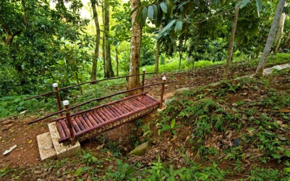 Bamboo Bridge Govardhan



























  Gardens